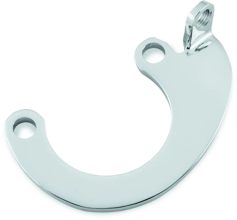 Bikers Choice Chrome Big Twin Mousetrap Eliminator Bracket 1