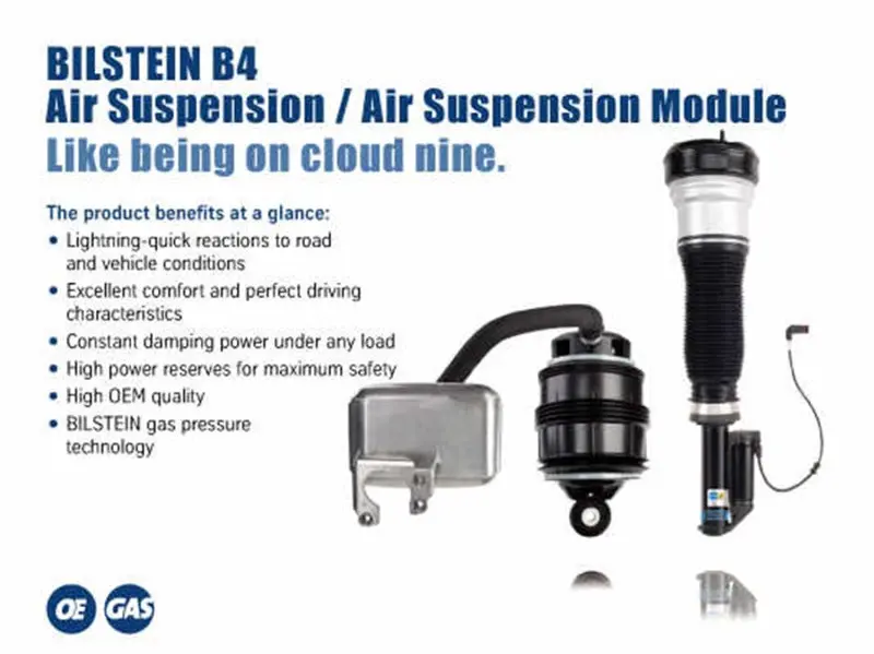 Bilstein B4 04-06 Mercedes-Benz E500 4Matic Left Rear Twintube Strut Assembly 1