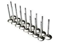 Brian Crower Honda/Acura B18c/B16a/B17a 28Mm Exhaust Valves 1