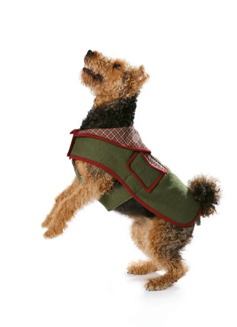Burda 7752 Dogs Coat Pattern 1