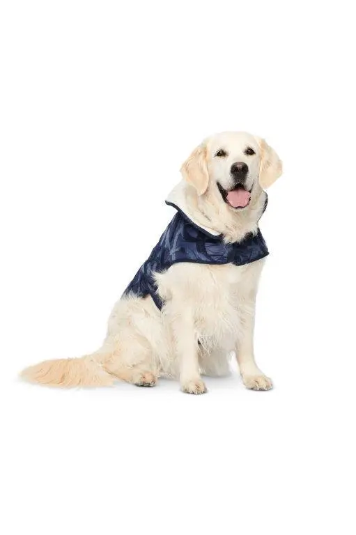 Burda Sewing Pattern 6049 Dog Coat 1