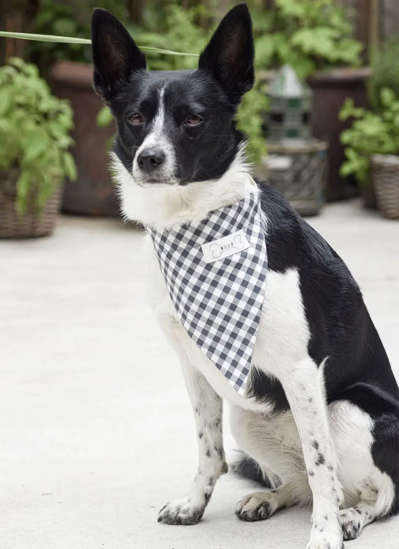 Burda Style Sewing Pattern 5702 Pet Accessories 1