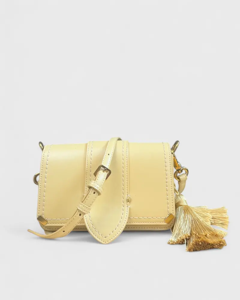 Mini Sac Charles & Keith 1