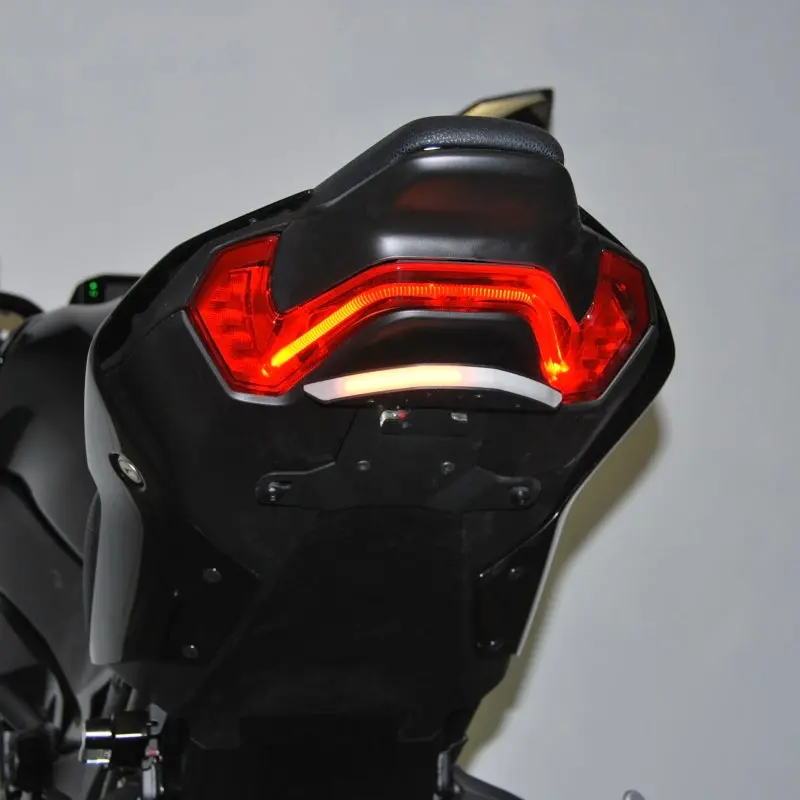New Rage Cycles 24+ Kawasaki Z900  Fender Eliminator Kit 1