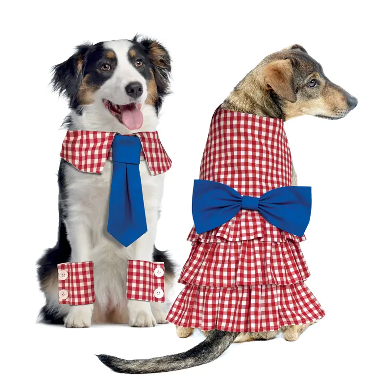 Simplicity 9507 Dog Collars, Cuffs And Dresses Pattern 1