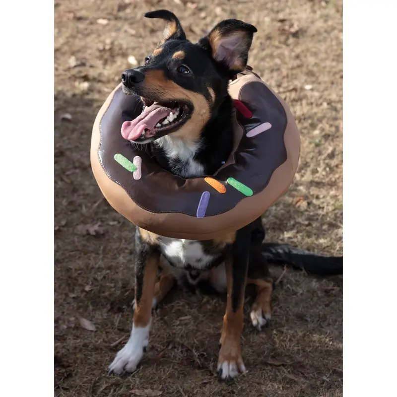 Simplicity Sewing Pattern 9582 Pet Elizabethan Collars By Carla Reiss 1