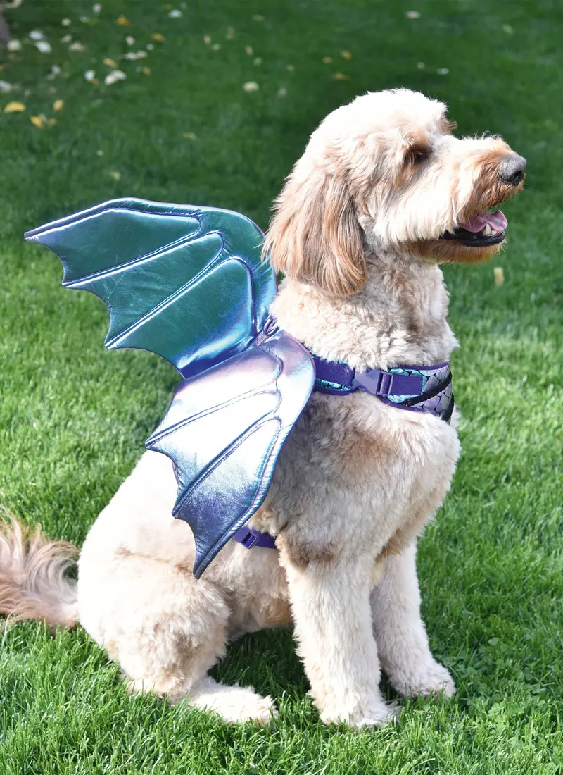 Simplicity Sewing Pattern 9875 Dog Harness With Wings 1