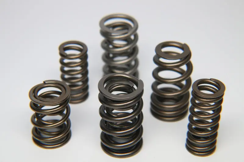 Ferrea Dual Valve Spring Kit For Nissan Skyline Neo Engines – Single Pack 1