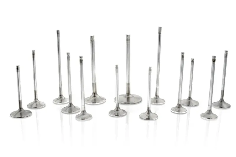 Ferrea S-Flo Series Hollow Intake Valves – 2.055" Stem, 12° Seat, For Small-Block Chevy/Chrysler/Ford 1
