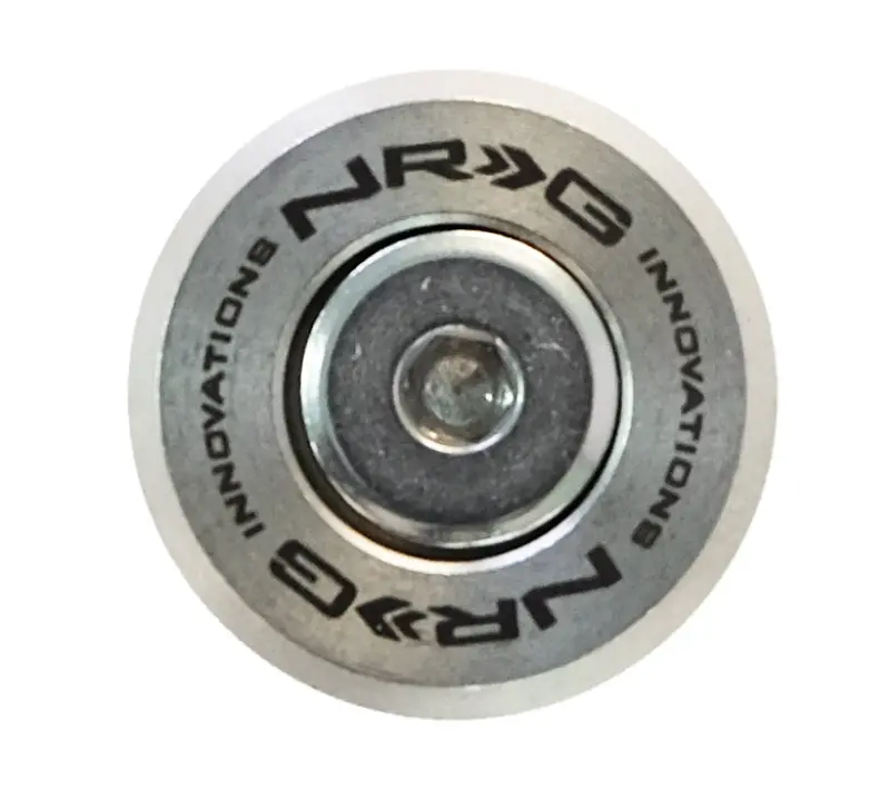 Nrg M-Style Titanium-Series Fender Washer Kit – M6 Bolts For Plastic Panels (Silver Washers & Screws), 10-Piece Set 1