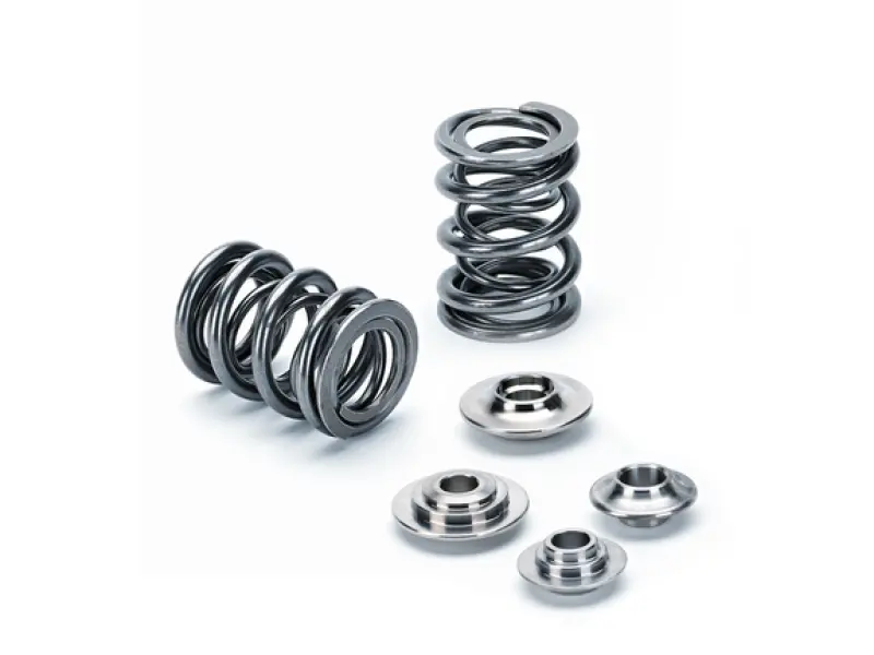 Supertech Dual Valve Spring Kit For Renault Fr4 Rs 2.0L 16V Engines 1